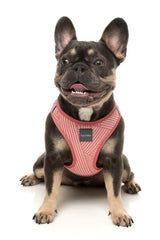 FuzzYard Thornbury Step‑In Dog Harness – Brick Red