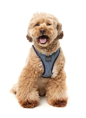 FuzzYard Thornbury Step‑In Dog Harness – Aegean Blue