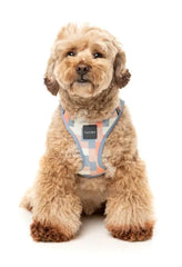 FuzzYard Yazd Step‑In Dog Harness