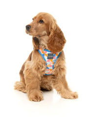 FuzzYard Fresh Zest Step in Dog Harness
