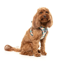 FuzzYard Carioca Step‑In Dog Harness