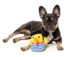 Timotheé Chalaquack Dog Toy