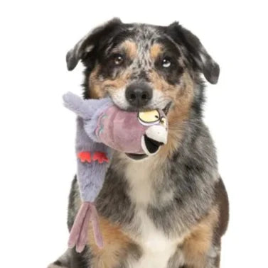 Peace Out Pigeon - The Yeetz - Dog Toy by FuzzYard