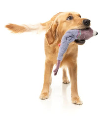 Peace Out Pigeon - The Yeetz - Dog Toy by FuzzYard