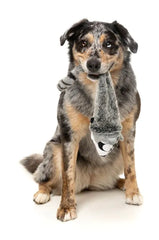 Run Along Raccoon - The Yeetz - Dog Toy by FuzzYard