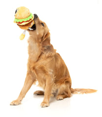 Patty - The Homies Dog Toy