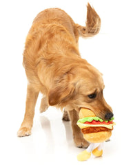 Patty - The Homies Dog Toy