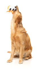 Steinzy - The Homies Dog Toy