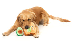 Avocado & Toast 2 Pack Dog Toys
