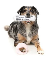 Fetch My Slippers & Paper 2 Pack Dog Toys