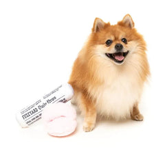 Fetch My Slippers & Paper 2 Pack Dog Toys