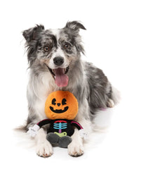 FuzzYard Boo-Ternut Halloween Dog Toy