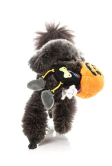 FuzzYard Boo-Ternut Halloween Dog Toy