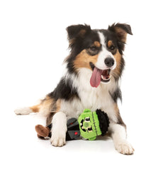 FuzzYard Igor Halloween Dog Toy