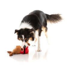 FuzzYard Reggie Claus Reindeer Christmas Dog Toy