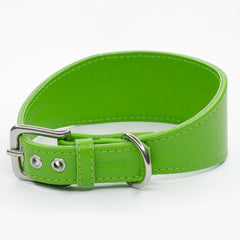 Luxury Leather Greyhound Collar by Petiquette