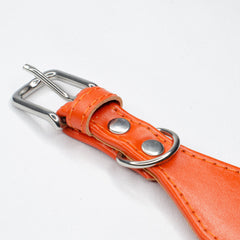 Hound Head Concho Whippet Collar by Petiquette