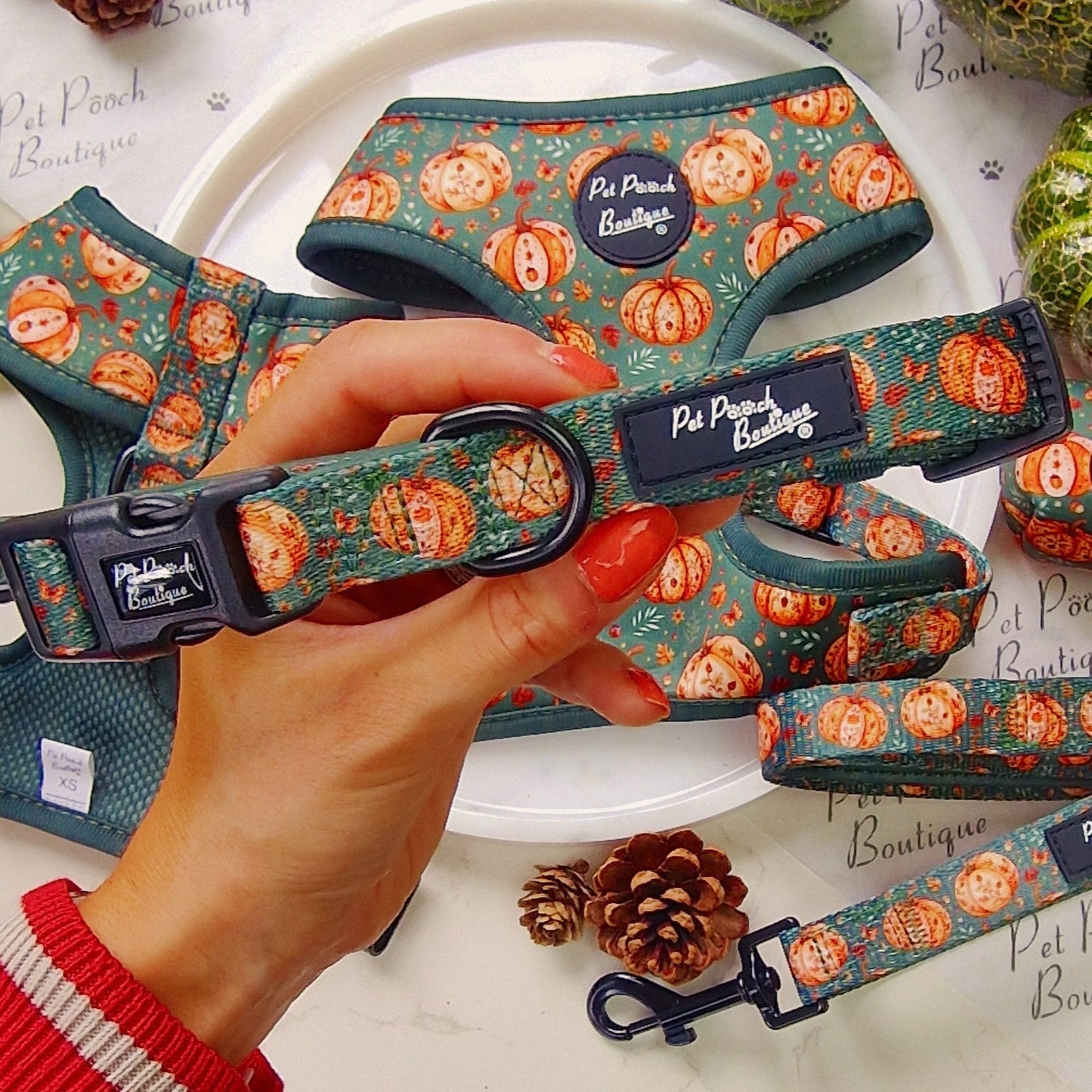 Harvest Pumpkin Patch Dog Collar