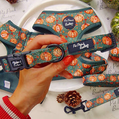 Harvest Pumpkin Patch Dog Collar