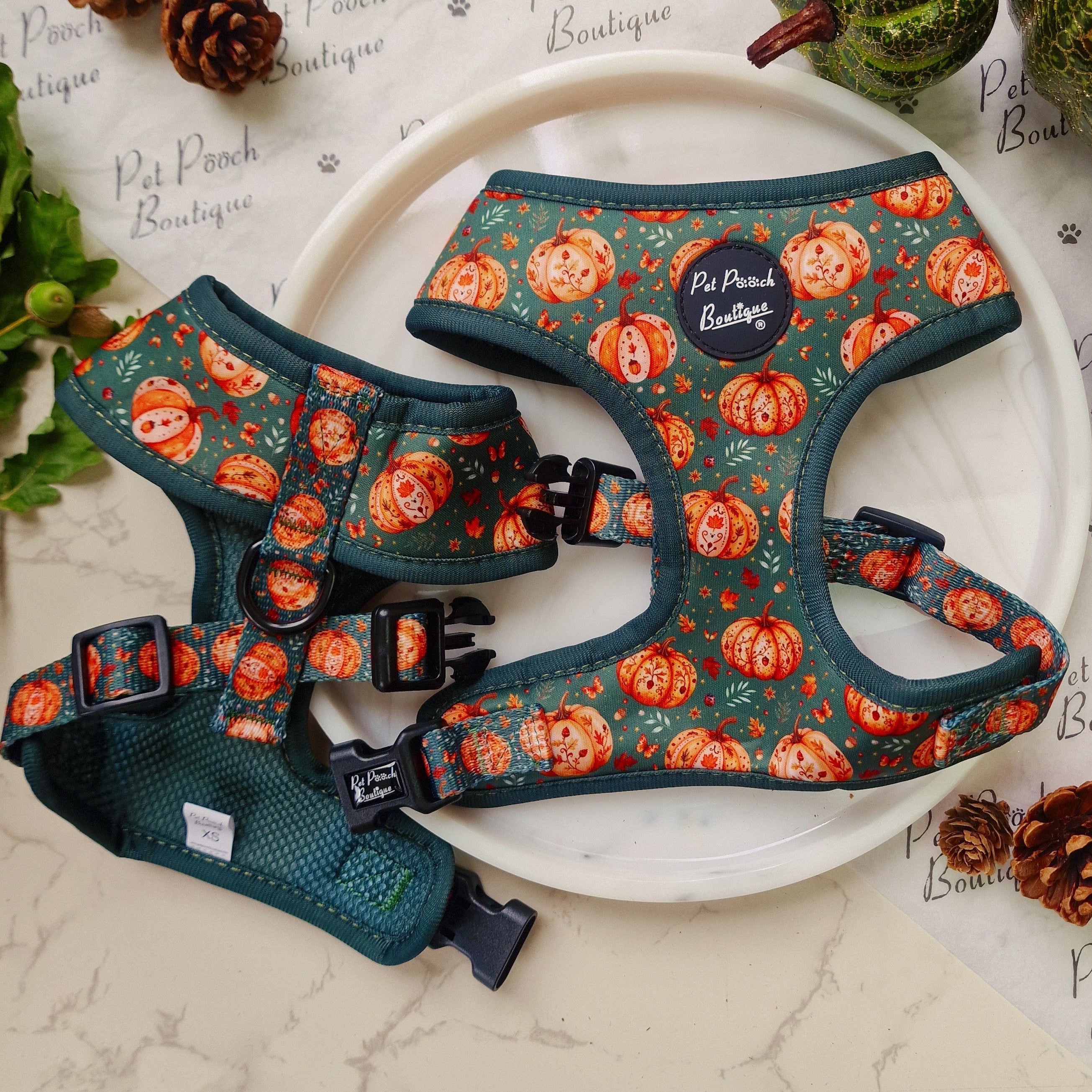 Harvest Pumpkin Patch Dog Harness