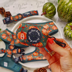 Harvest Pumpkin Patch Poo Bag Holder