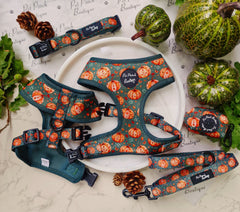 Harvest Pumpkin Patch Dog Harness