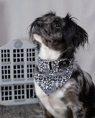Bow Wow Haus Dog Bandana by Hiro and Wolf