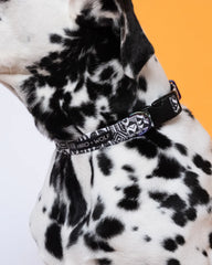 Bow Wow Haus Adjustable Dog Collar by Hiro & Wolf