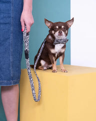 Bow Wow Haus Classic Dog Lead by Hiro and Wolf