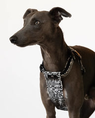 Bow Wow Haus Dog Harness by Hiro and Wolf