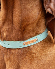 Luxury Leather Duo Tone Studded Dog Collar In Mint & Tan