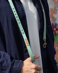 Luxury Leather Duo Tone Studded Dog Lead In Mint & Tan