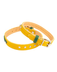 Luxury Leather Duo Tone Studded Dog Collar In Yellow & Green