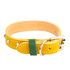 Luxury Leather Duo Tone Studded Dog Collar In Yellow & Green