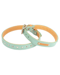 Luxury Leather Duo Tone Studded Dog Collar In Mint & Tan