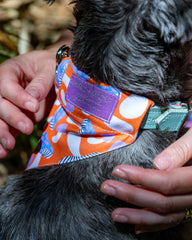 Magical Mushrooms Dog Bandana by Hiro and Wolf