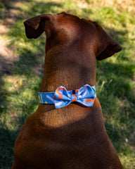 Dancing Leaves Dog Bow Tie by Hiro And Wolf