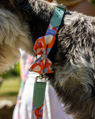Magical Mushrooms Dog Bow Tie by Hiro And Wolf