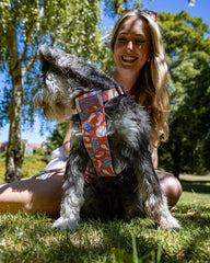 Magical Mushrooms Dog Harness by Hiro and Wolf