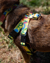 Psychedelic Garden Dog Harness by Hiro and Wolf