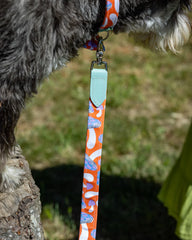 Magical Mushrooms Classic Dog Lead by Hiro and Wolf