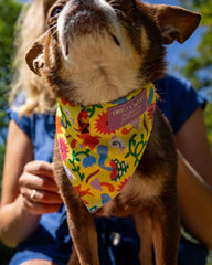 Psychedelic Garden Dog Bandana by Hiro and Wolf