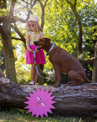 Dancing Leaves Dog Collar by Hiro & Wolf