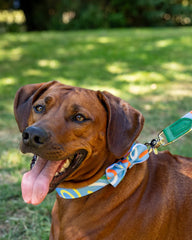 Dancing Leaves Dog Bow Tie by Hiro And Wolf