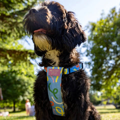 Dancing Leaves Dog Harness by Hiro and Wolf