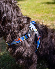 Dancing Leaves Dog Harness by Hiro and Wolf