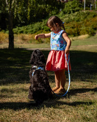 Dancing Leaves Classic Dog Lead by Hiro and Wolf