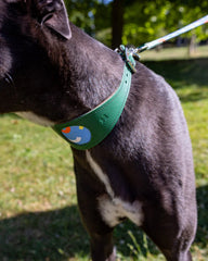 Dancing Leaves Hound Collar by Hiro And Wolf