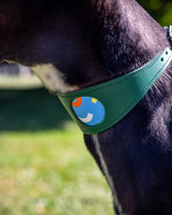 Dancing Leaves Hound Collar by Hiro And Wolf