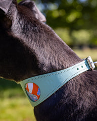 Magical Mushrooms Hound Collar by Hiro And Wolf